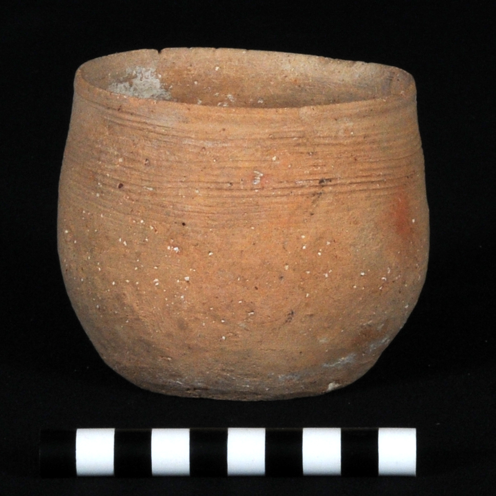 a pale orange cup