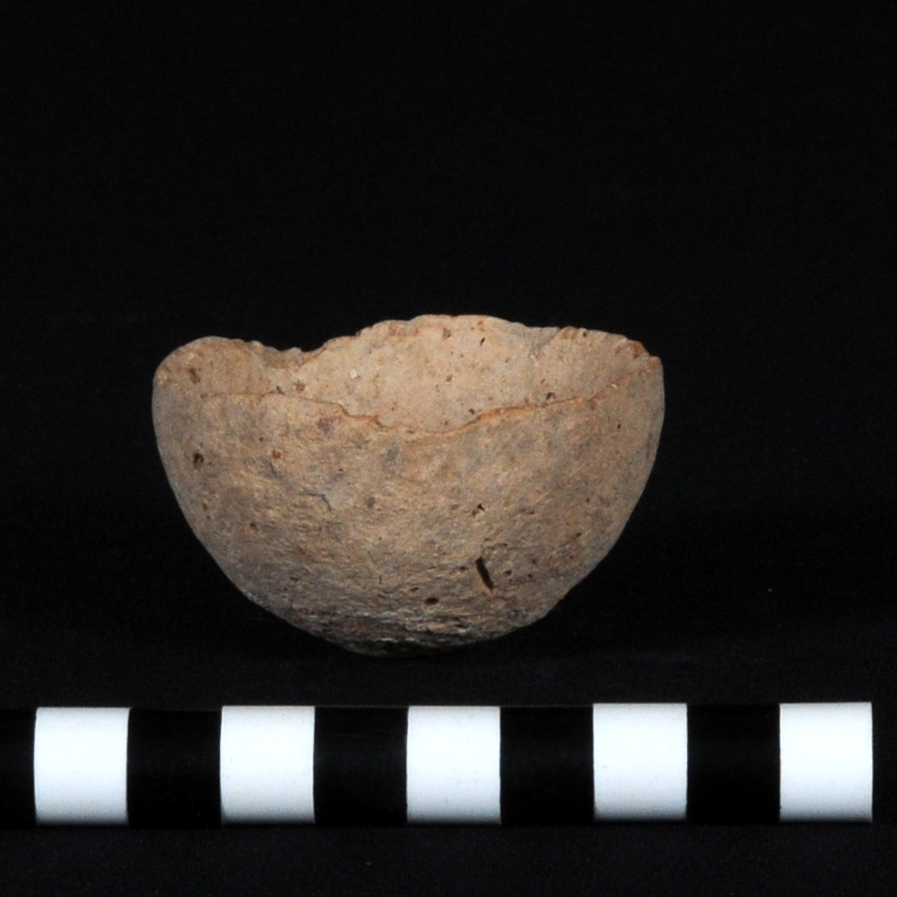 a light brown cup
