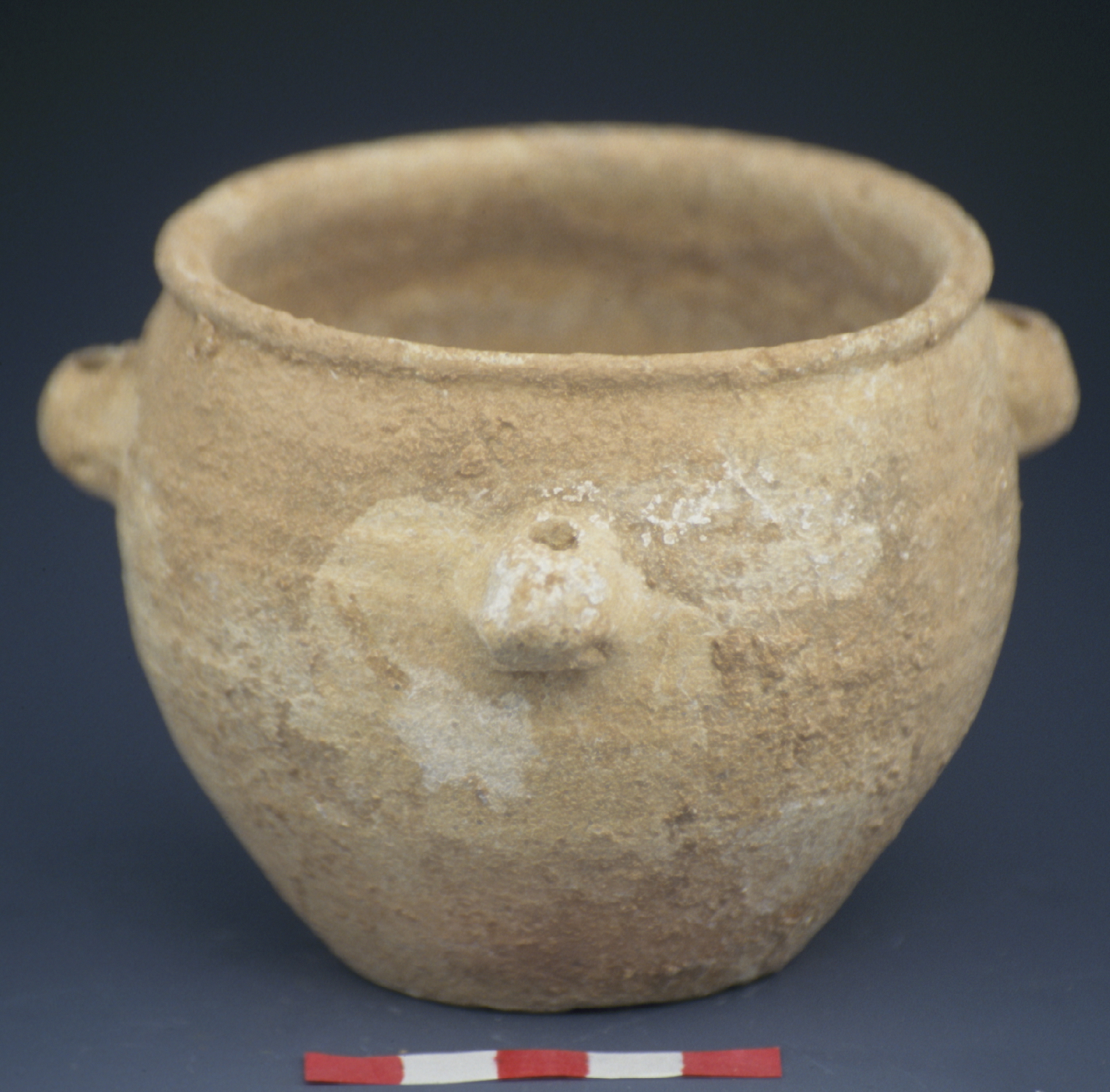 a tan cup