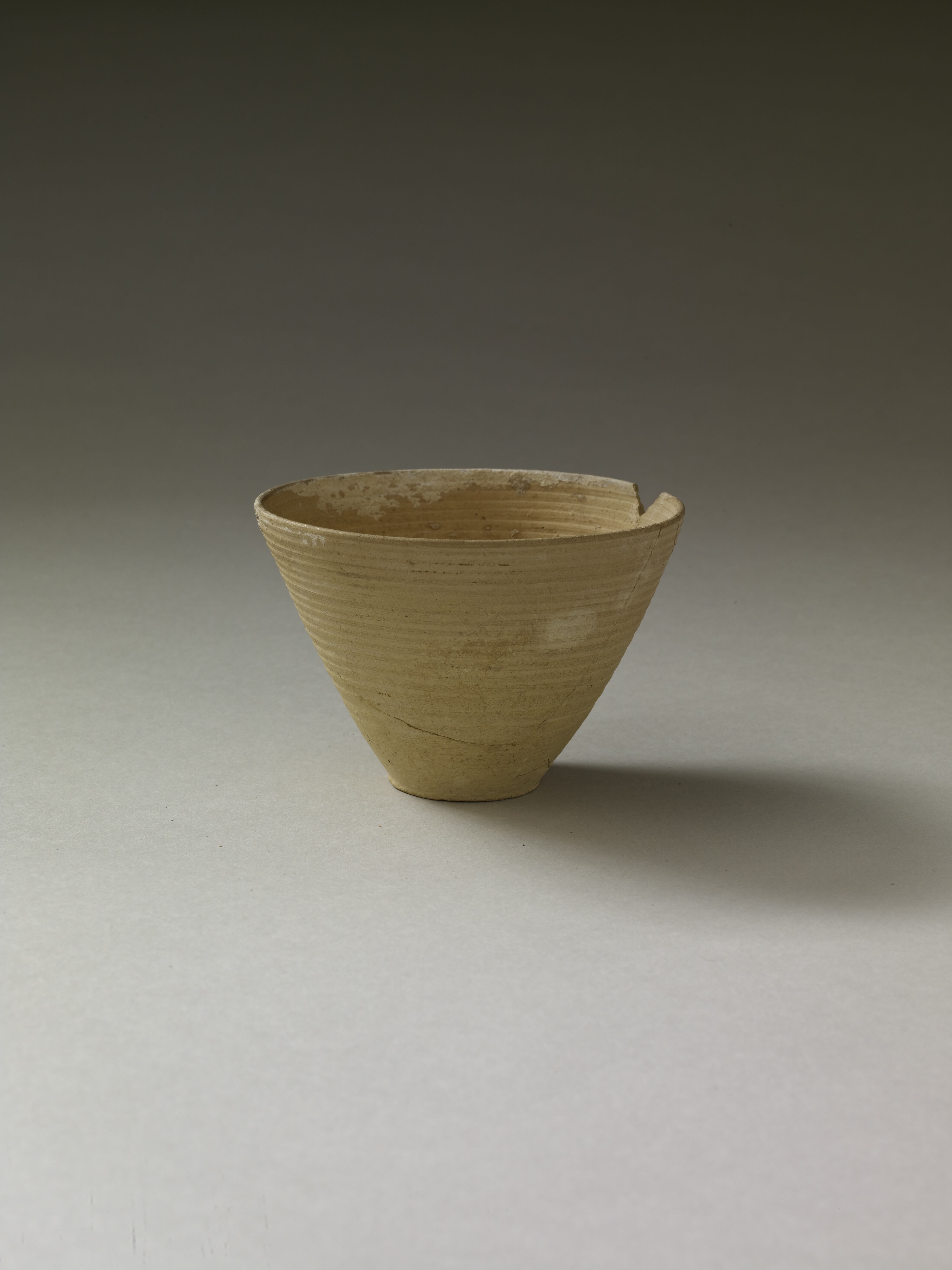 a tan cup