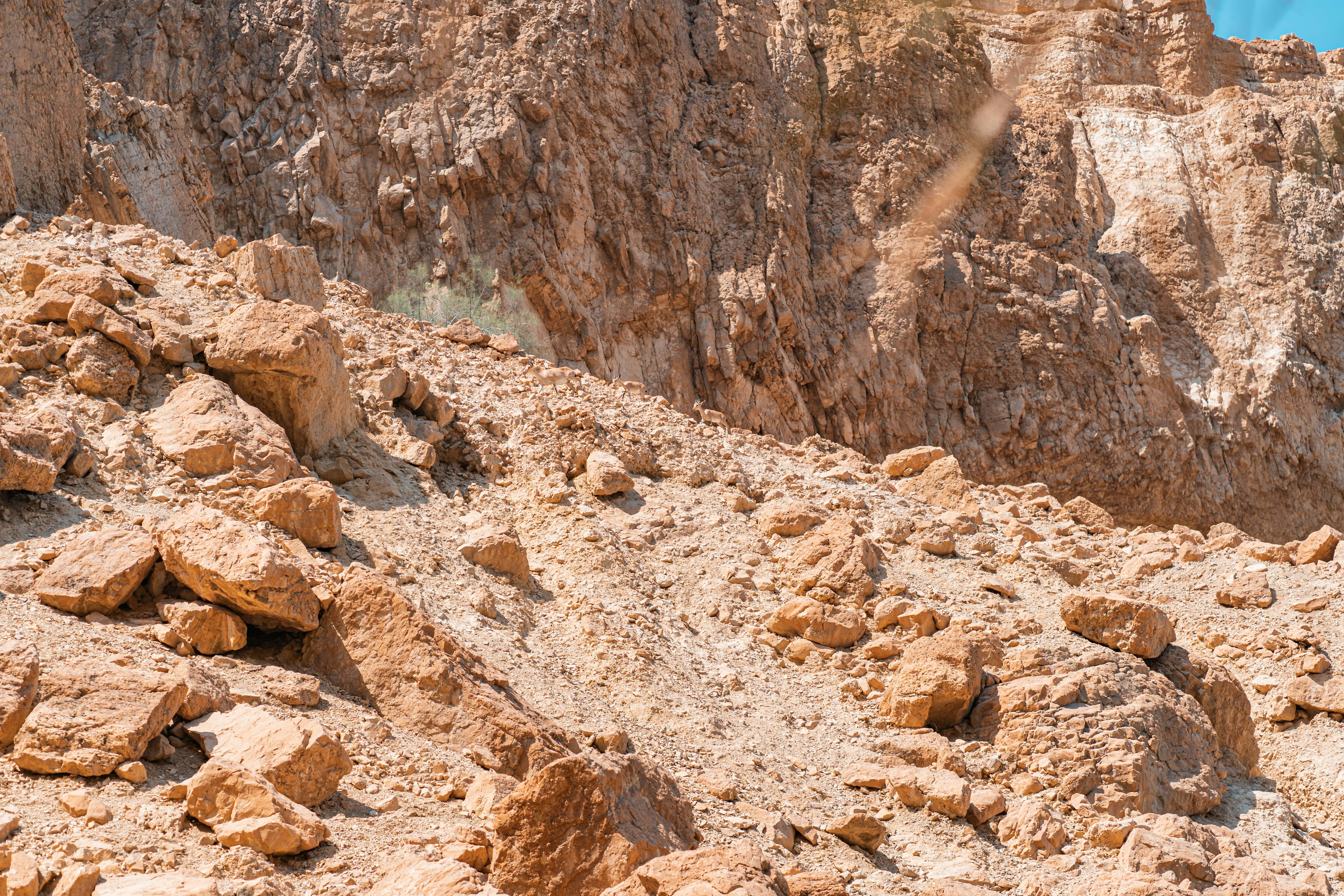 Israeli landscape, featuring mountainous terrain