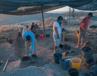 people working 