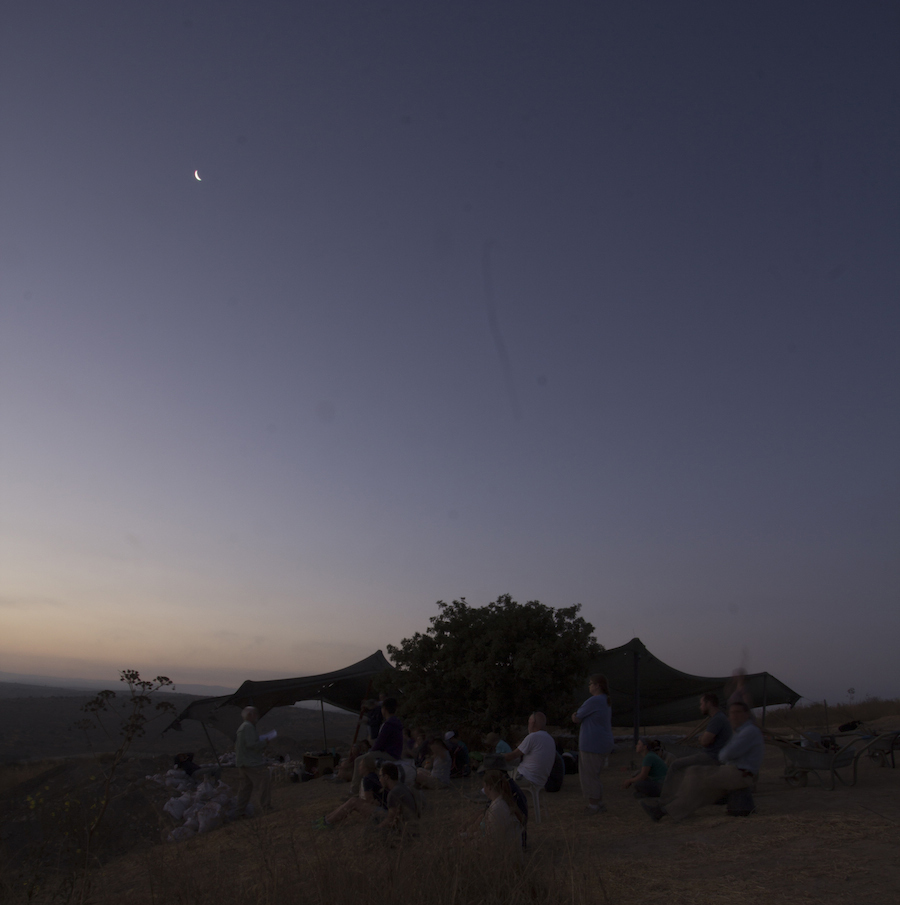 night sky in the field