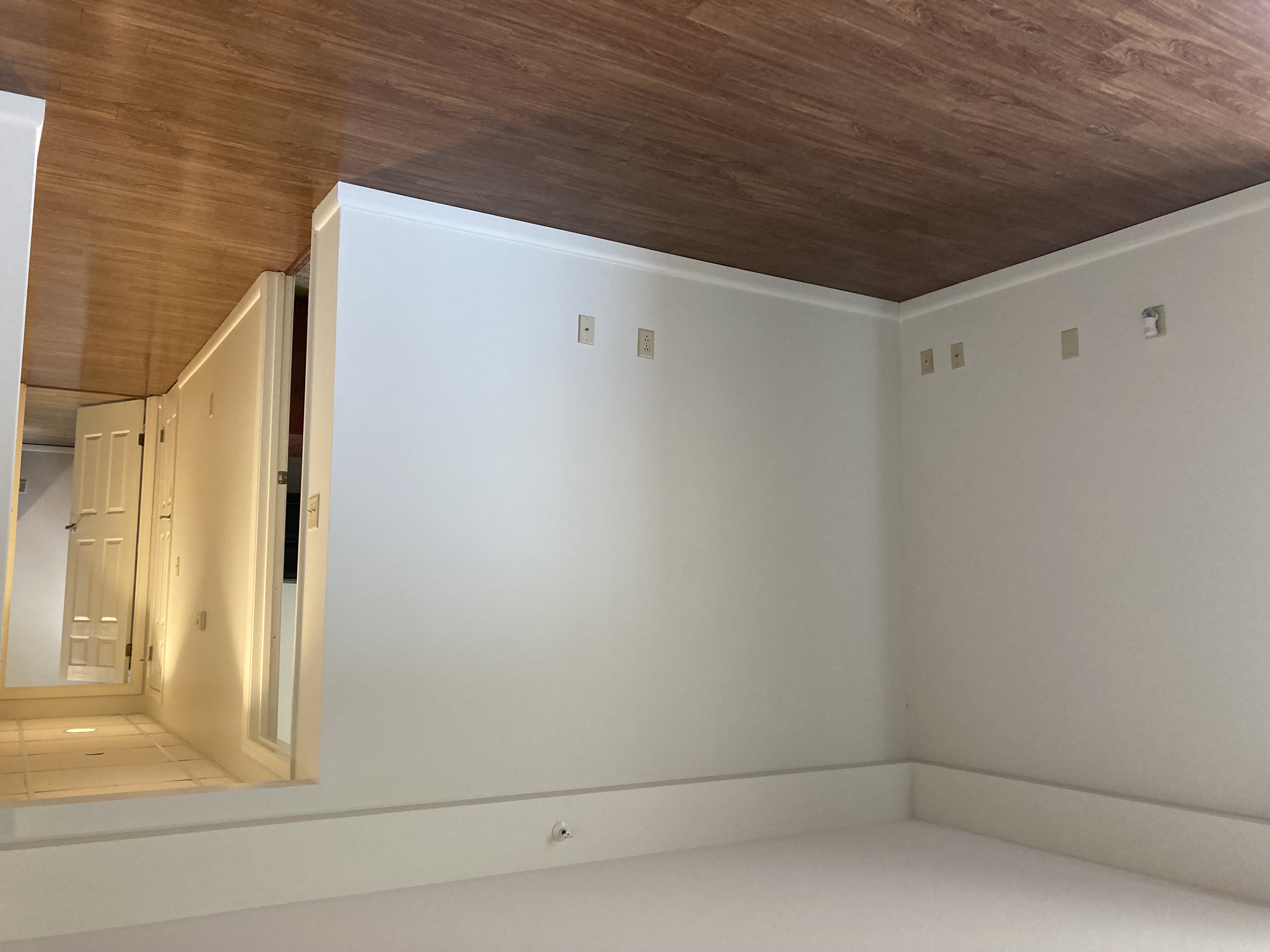 Living Room & Hall