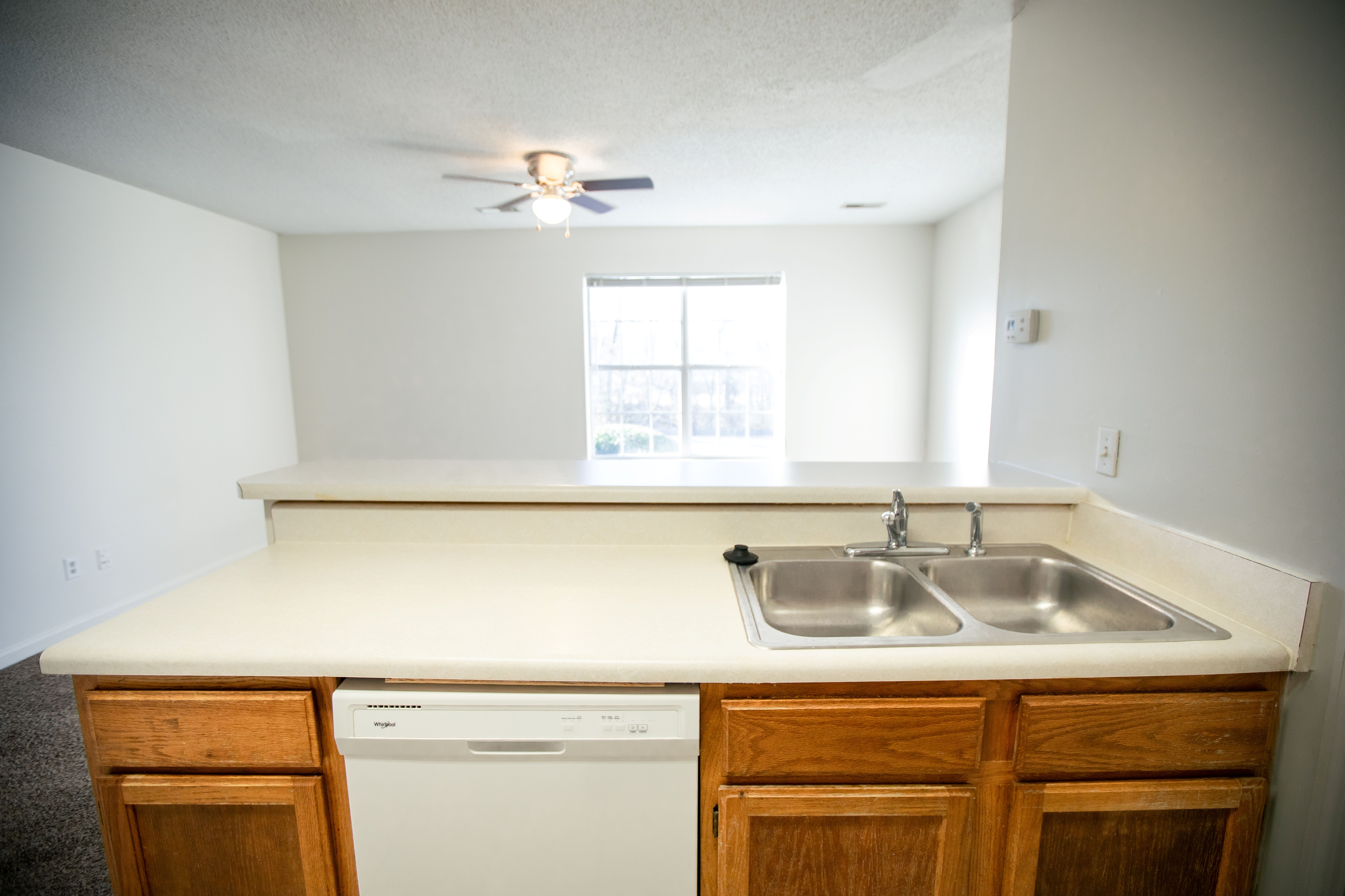 kitchen sink                 