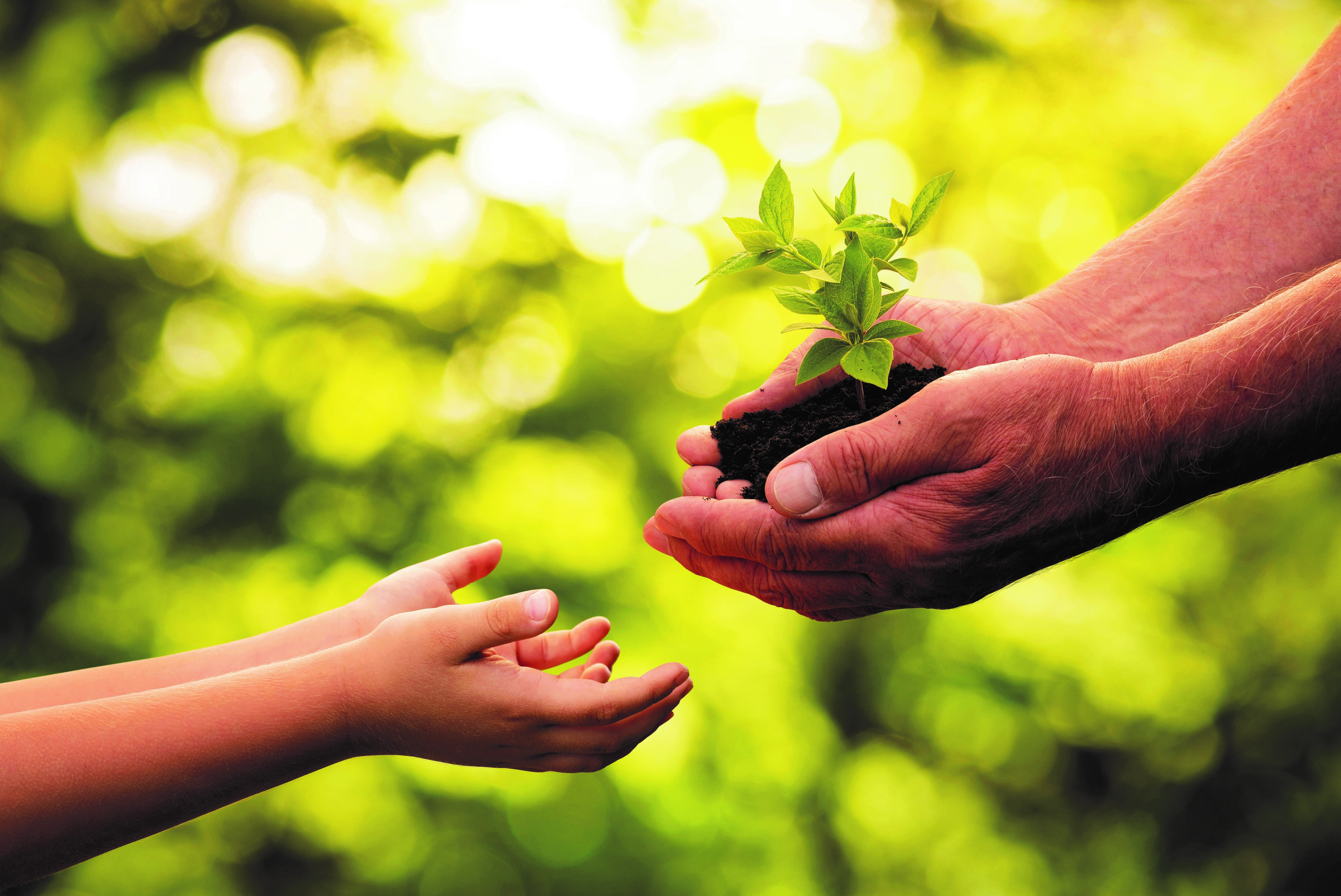 Estate Planning | How will you leave a legacy?