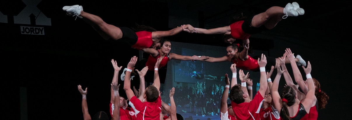 Flying gymnists