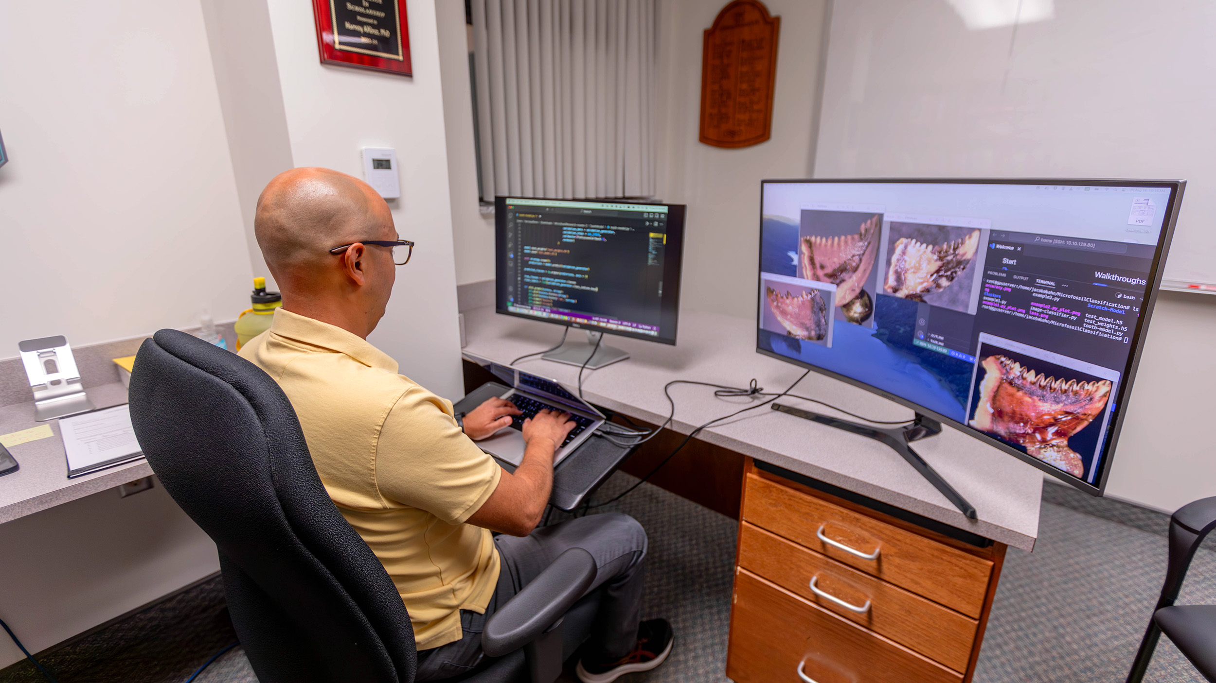 Professor Alferez looks at photos of dinosaur teeth on a computer